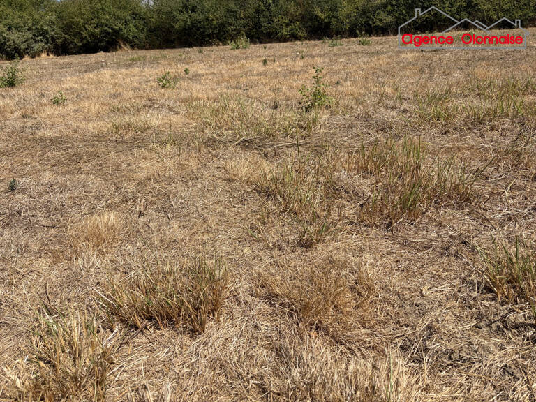 TERRAIN A BATIR — photo 1