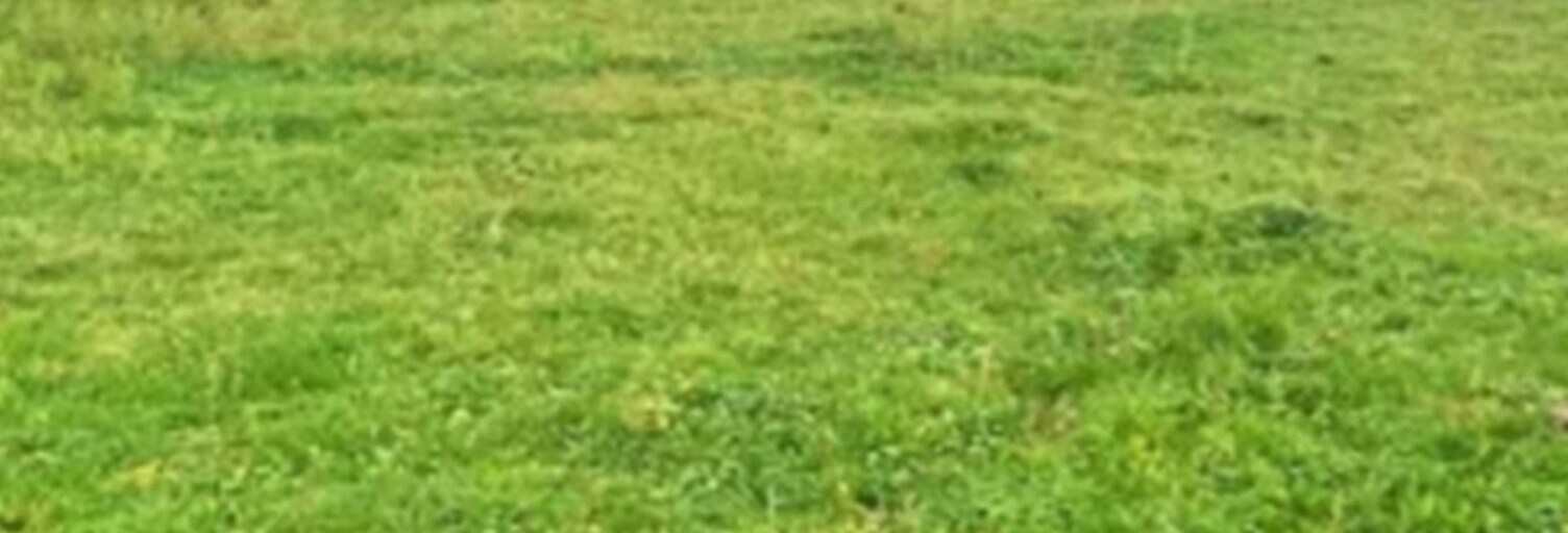 Terrain  475 m² à vendre à Saint-Yzan-de-Soudiac (33920)