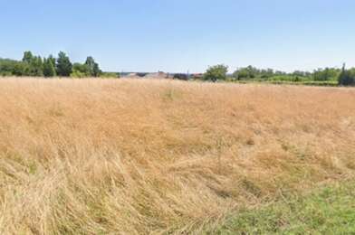 Terrain  60000 €