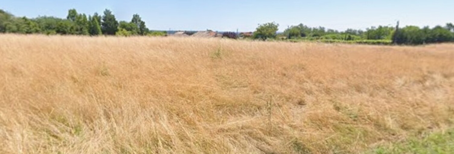 Terrain  8000 m² à vendre à Laruscade (33620)