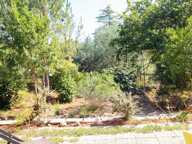 Maison bois type chalet 125 m² sur terrain de 5 110 m² divisible - ONESSE-ETR-LAHARIE — photo 4