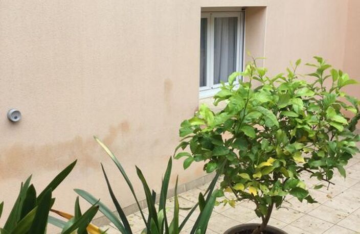Studio de 35m2 à louer sur Castres — photo 2