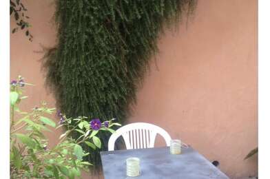 Appartement 1 pièces 700 €