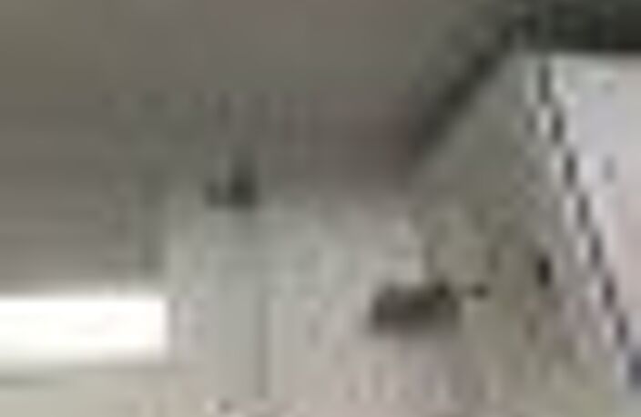 Studio de 17m2 à louer sur Saint-Brieuc — photo 5