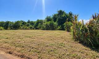 Terrain  1001 m² à vendre à Macouria (97355)