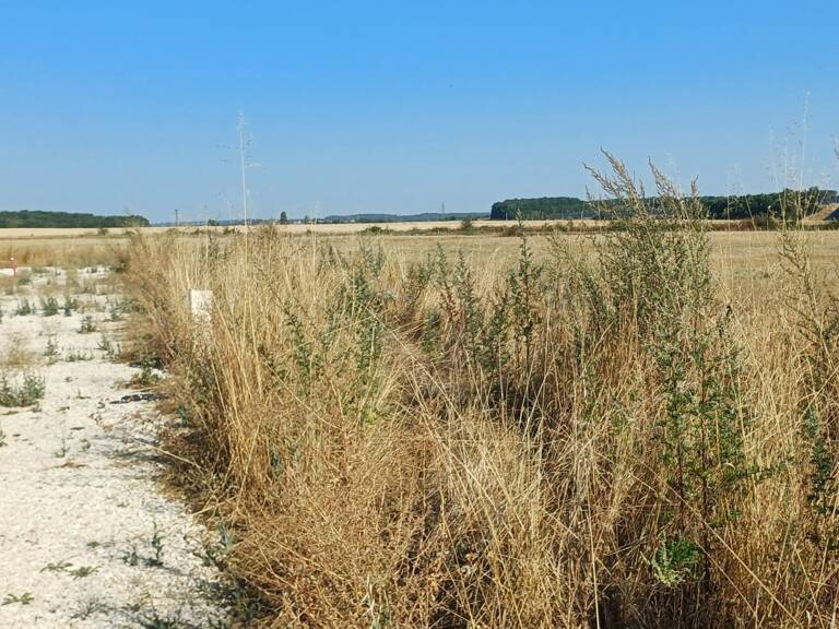 Terrain à vendre   (16) Viabilisé de 853 m2 — photo 1