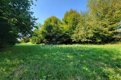 Terrain  183000 €