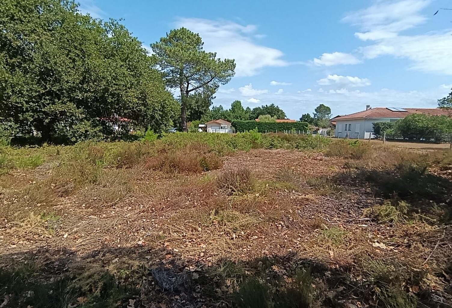 Terrain À Vendre — photo 1