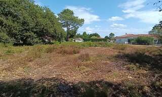 Terrain  1284 m² à vendre à Biscarrosse (40600)