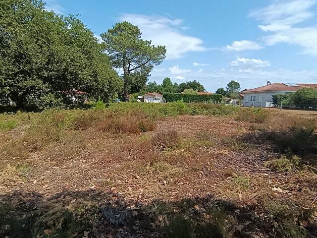 Terrain À Vendre — photo du bien