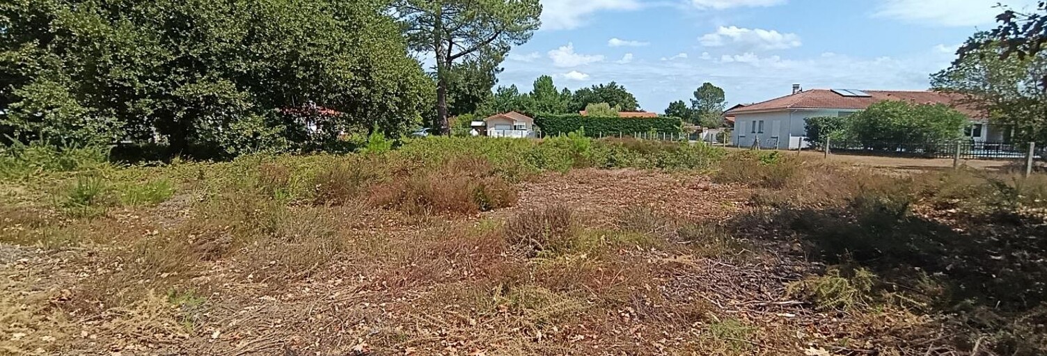 Terrain  1284 m² à vendre à Biscarrosse (40600)