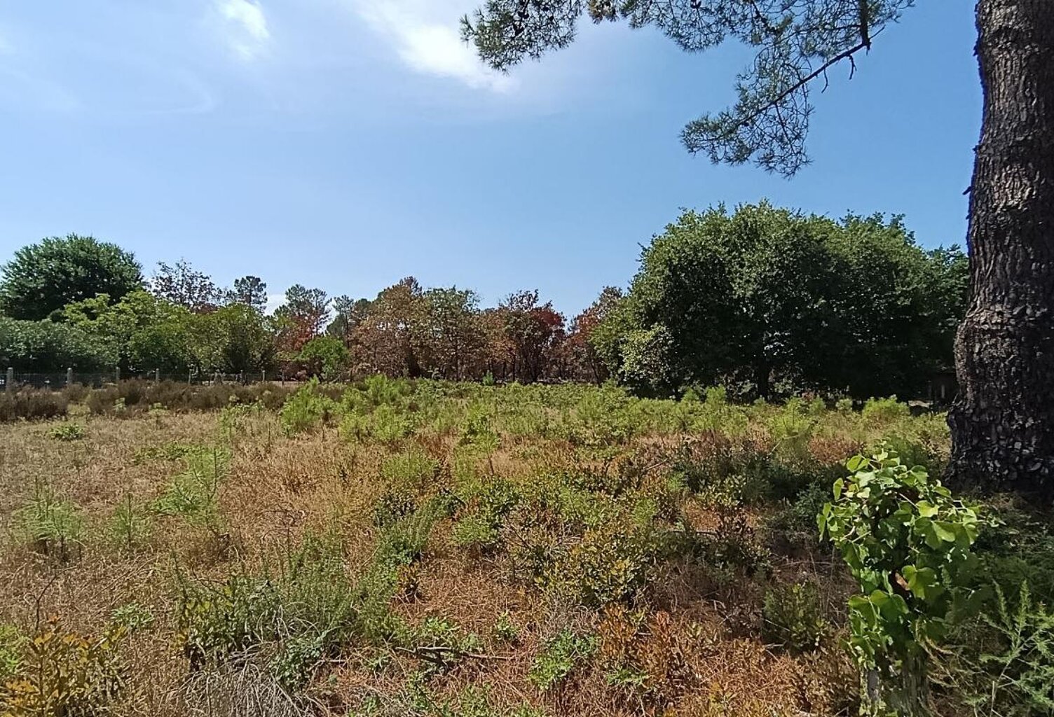 Terrain À Vendre — photo 1