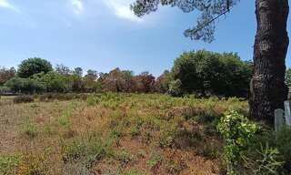 Terrain  2305 m² à vendre à Biscarrosse (40600)
