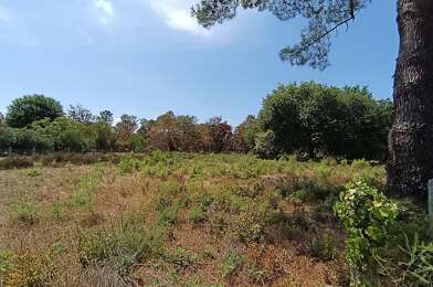 Terrain  370000 €