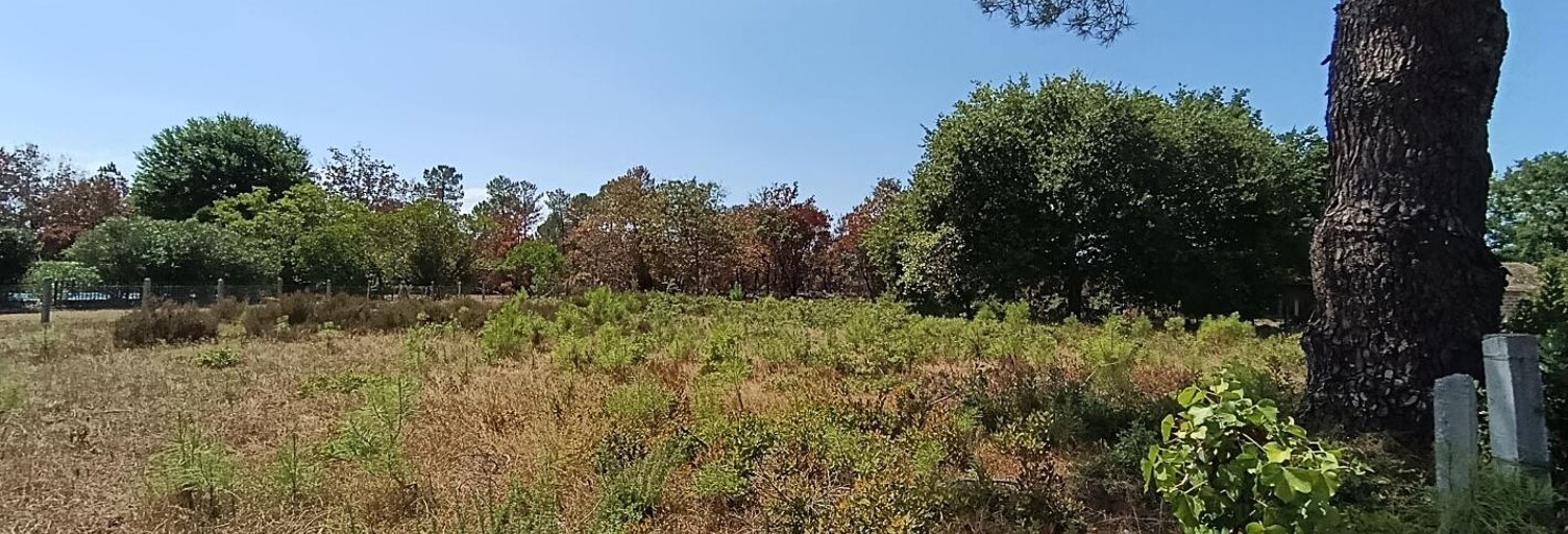 Terrain  2305 m² à vendre à Biscarrosse (40600)