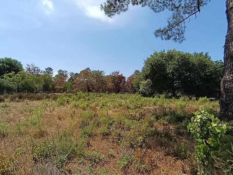 Terrain À Vendre — photo 1