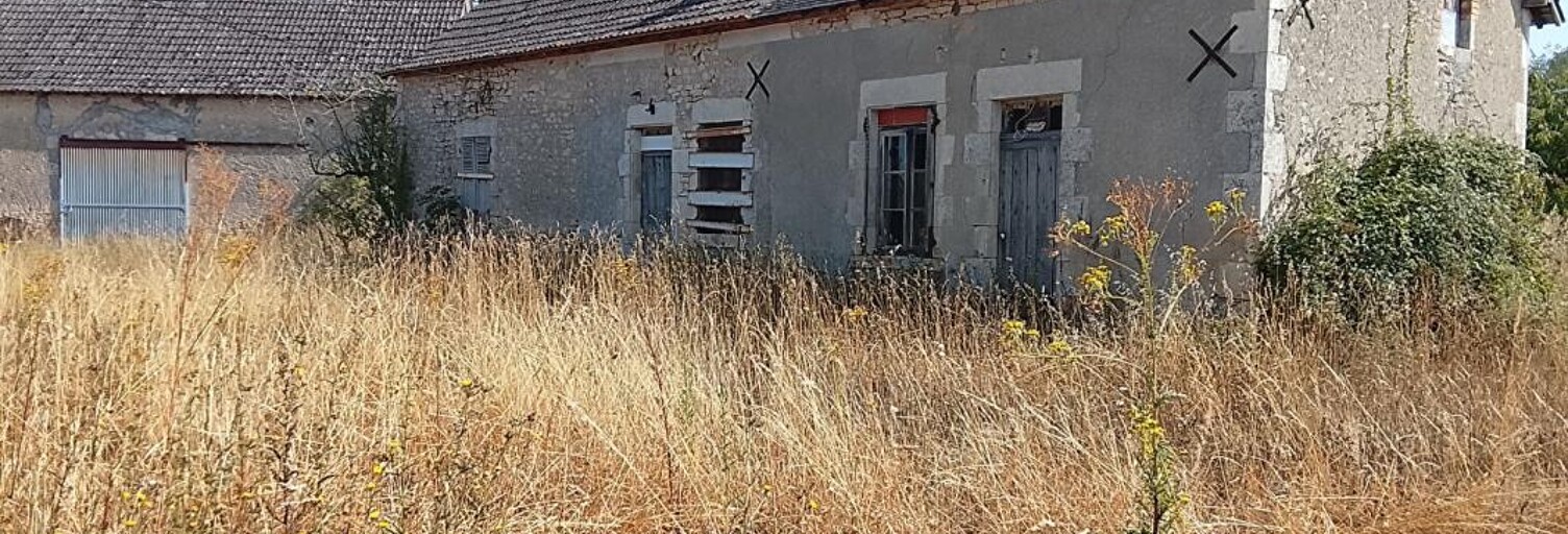 Maison 3 Pièces 80 m² à vendre à Le Blanc (36300)