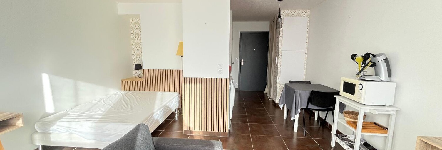 Appartement 1 Pièce 29 m² à louer à Albi (81000)