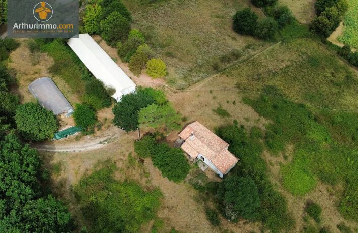 Maison de campagne avec 3,26 ha — photo 2