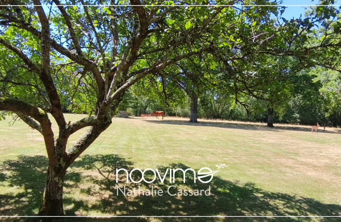 Domaine de caractère avec gîte indépendant, piscine et parc — photo 3