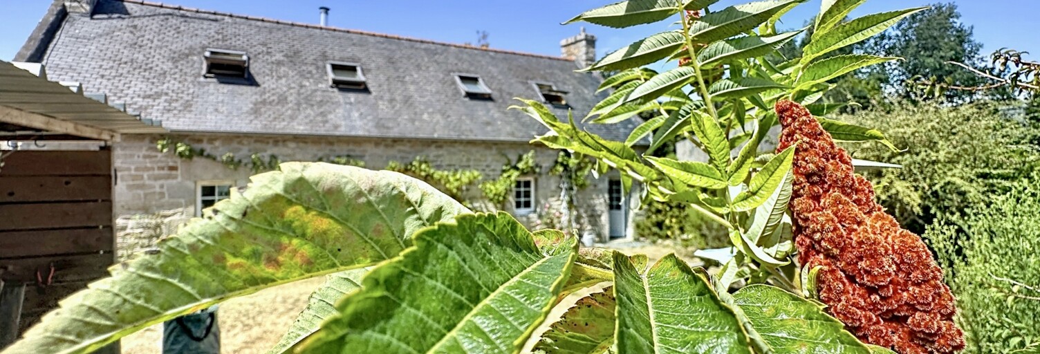 Maison 5 Pièces 90 m² à vendre à Loctudy (29750)