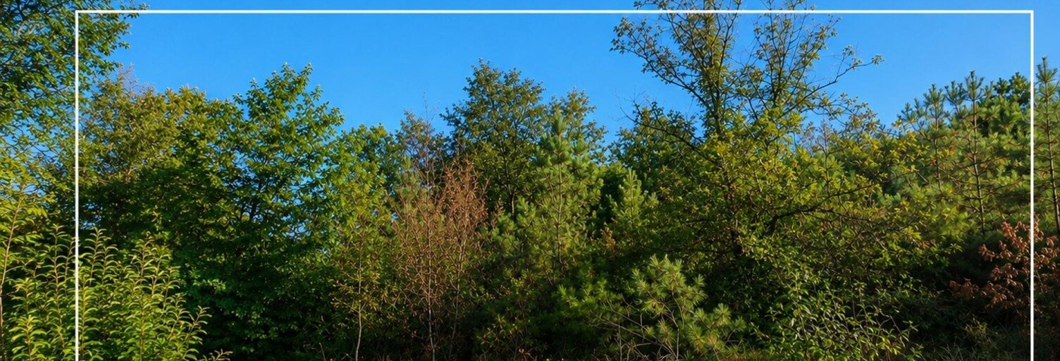 Terrain  9990 m² à vendre à Billio (56420)