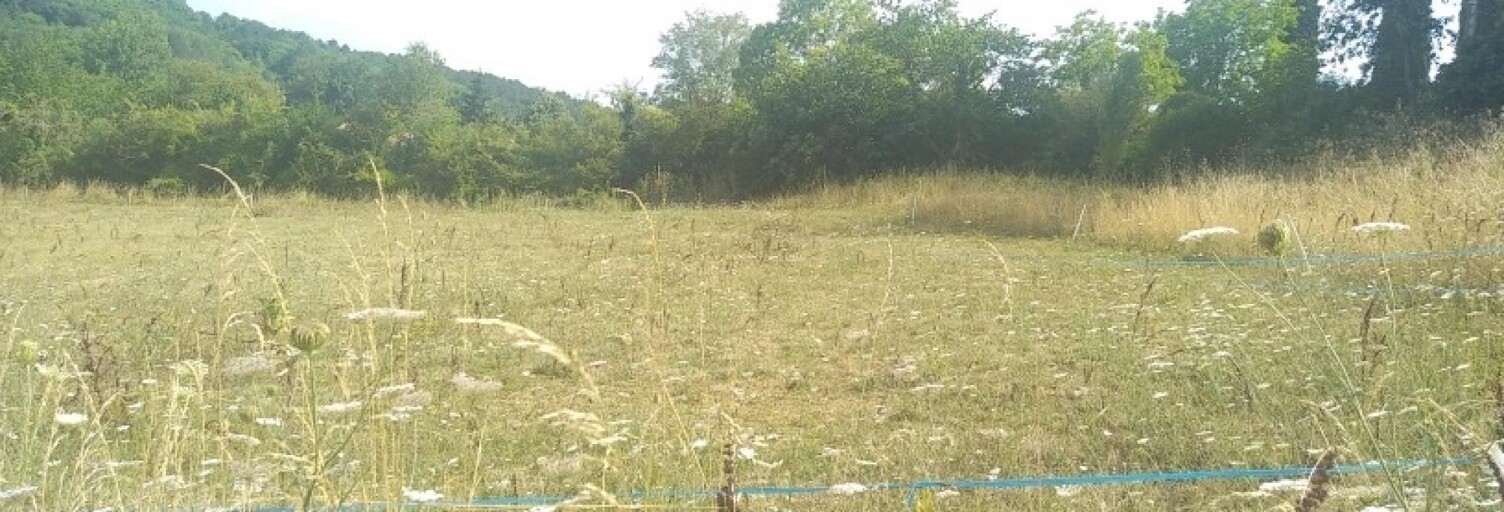Terrain  10242 m² à vendre à Manses (09500)