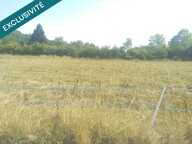 Investisseurs, Promoteurs, une affaire en or — photo 2