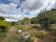 Magnifique terrain arboré constructible — photo 3