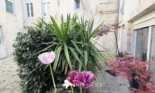 Immeuble  233 m² à vendre à La Rochelle (17000)