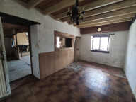 BACCON — photo 4