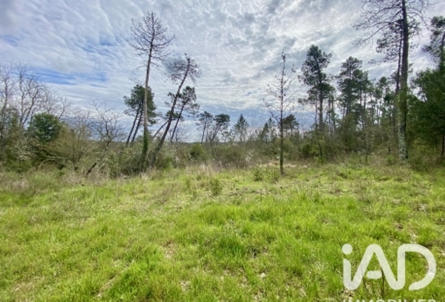 Vente Terrain agricole 5 010 m&sup2; — photo 1