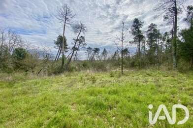 Terrain  19500 €