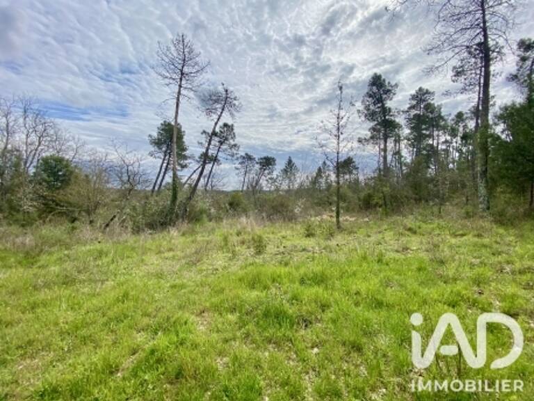 Vente Terrain agricole 5 010 m&sup2; — photo 1