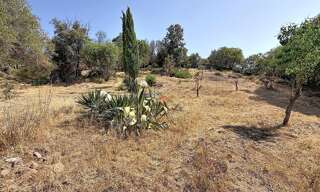 Terrain  2731 m² à vendre à Albitreccia (20166)