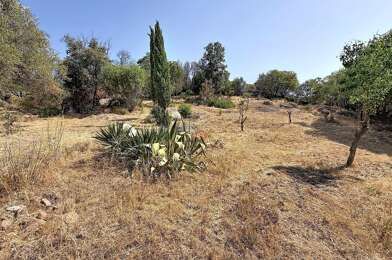 Terrain  695000 €
