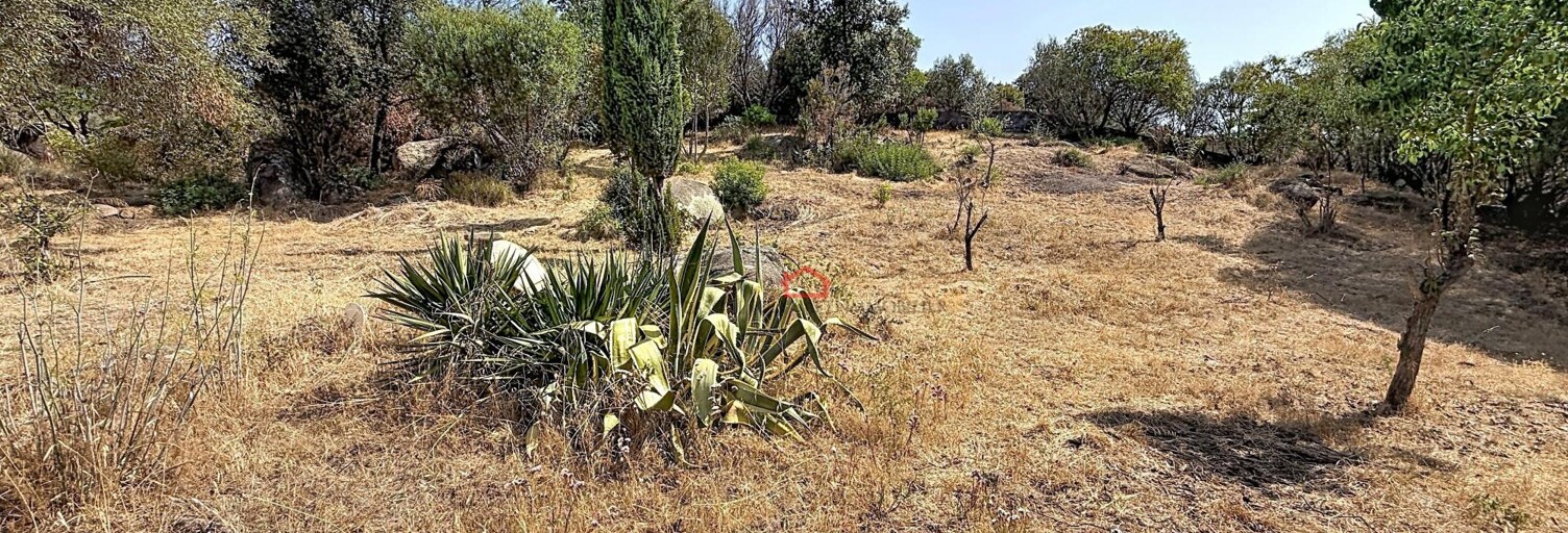 Terrain  2731 m² à vendre à Albitreccia (20166)