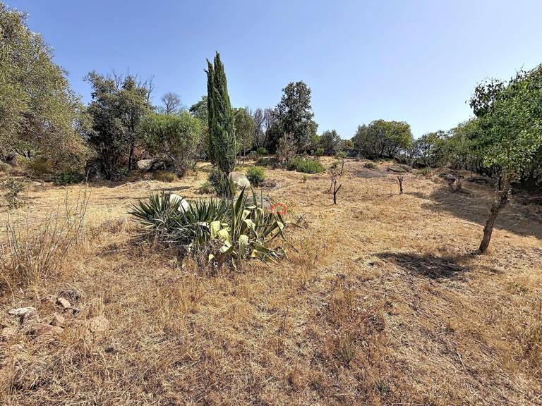 Terrain AGOSTA-MOLINI avec 2 permis — photo 1