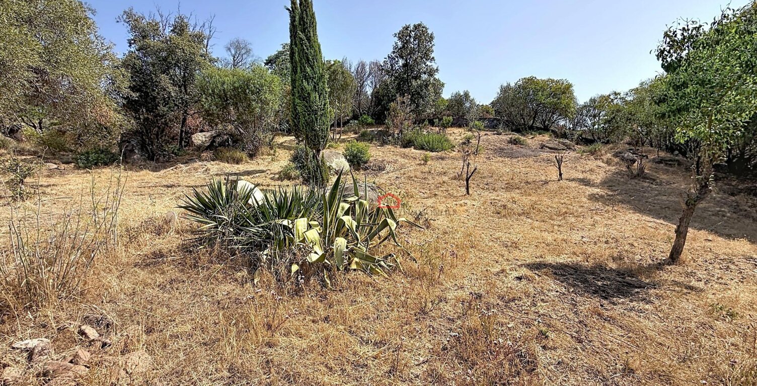 Terrain AGOSTA-MOLINI avec 2 permis — photo 1