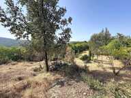 Terrain AGOSTA-MOLINI avec 2 permis — photo 2