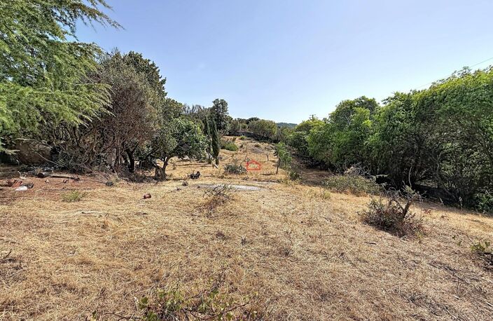Terrain AGOSTA-MOLINI avec 2 permis — photo 4