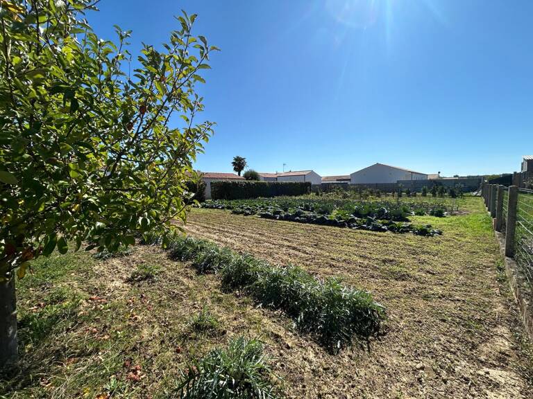 Terrain de 919 m2 — photo 1