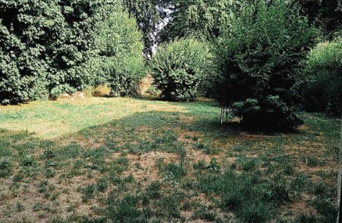 Appartement Gray 1 pièce(s) 37.15 m2 — photo 4