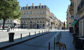 Appartement 1 Pièce 26 m² à louer à Bordeaux (33000)