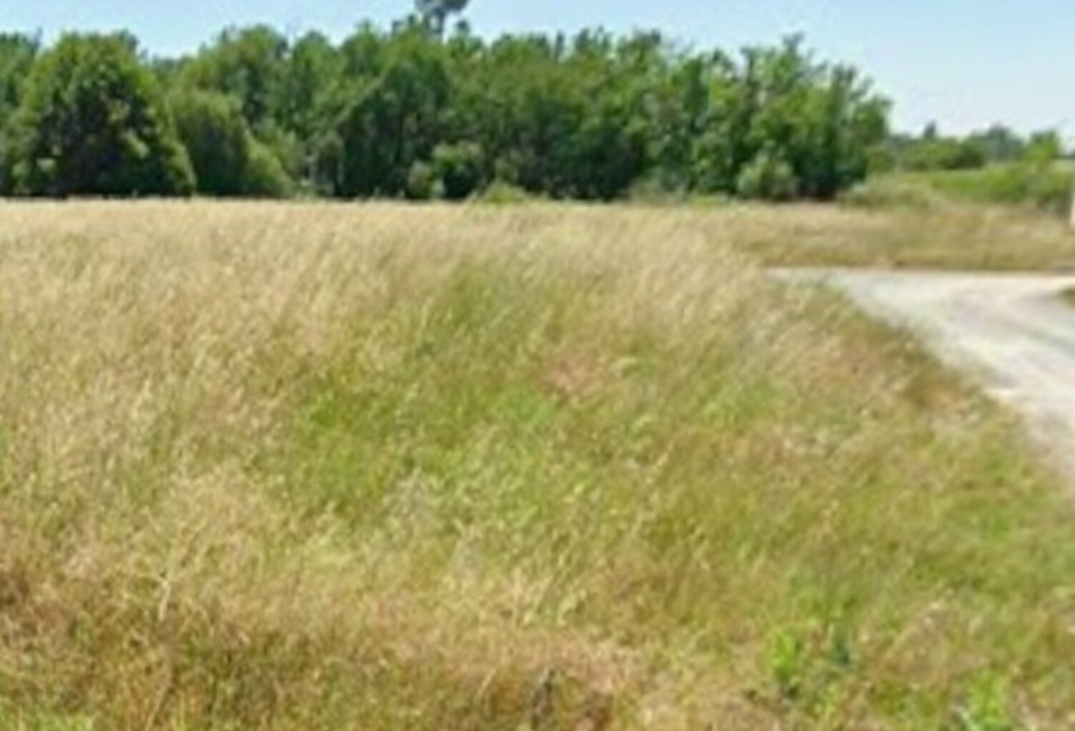 Terrain à bâtir à Pugnac (33710) — photo 1