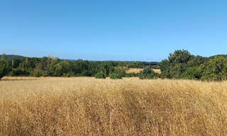 Terrain  1750 m² à vendre à Villefranche-de-Lonchat (24610)