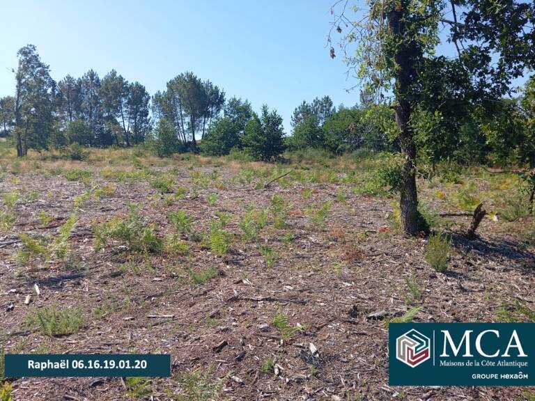 Terrain à bâtir à Salles (33770) — photo 1