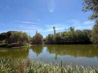 SOULLANS 85300 - DOMAINE PRIVE DE 3,2 HECTARES CLOS - PROPRIETE D'EXCEPTION AVEC GRANGES ET PRESQU'ILE — photo 2