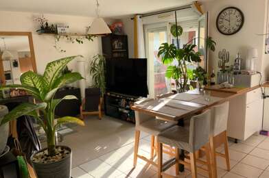 Appartement 3 pièces 790 €