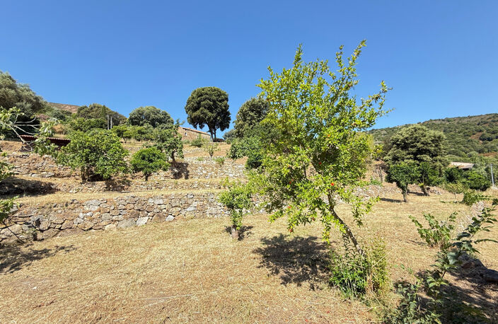 CORSE (20) commune d'ALATA : A vendre magnifique terrain à bâtir, viabilisé — photo 2